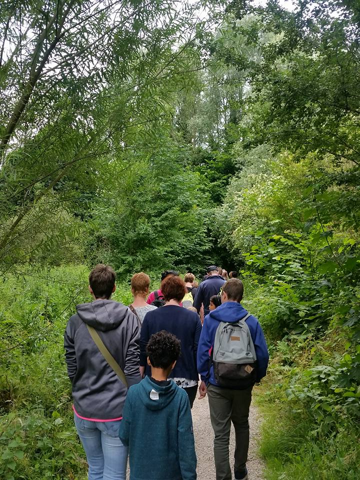 36087186_2139968139623673_4191016503182622720_n