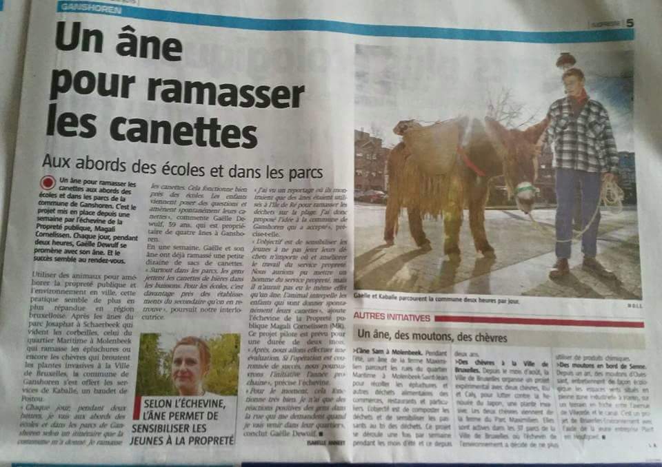 FB_IMG_1537905305973